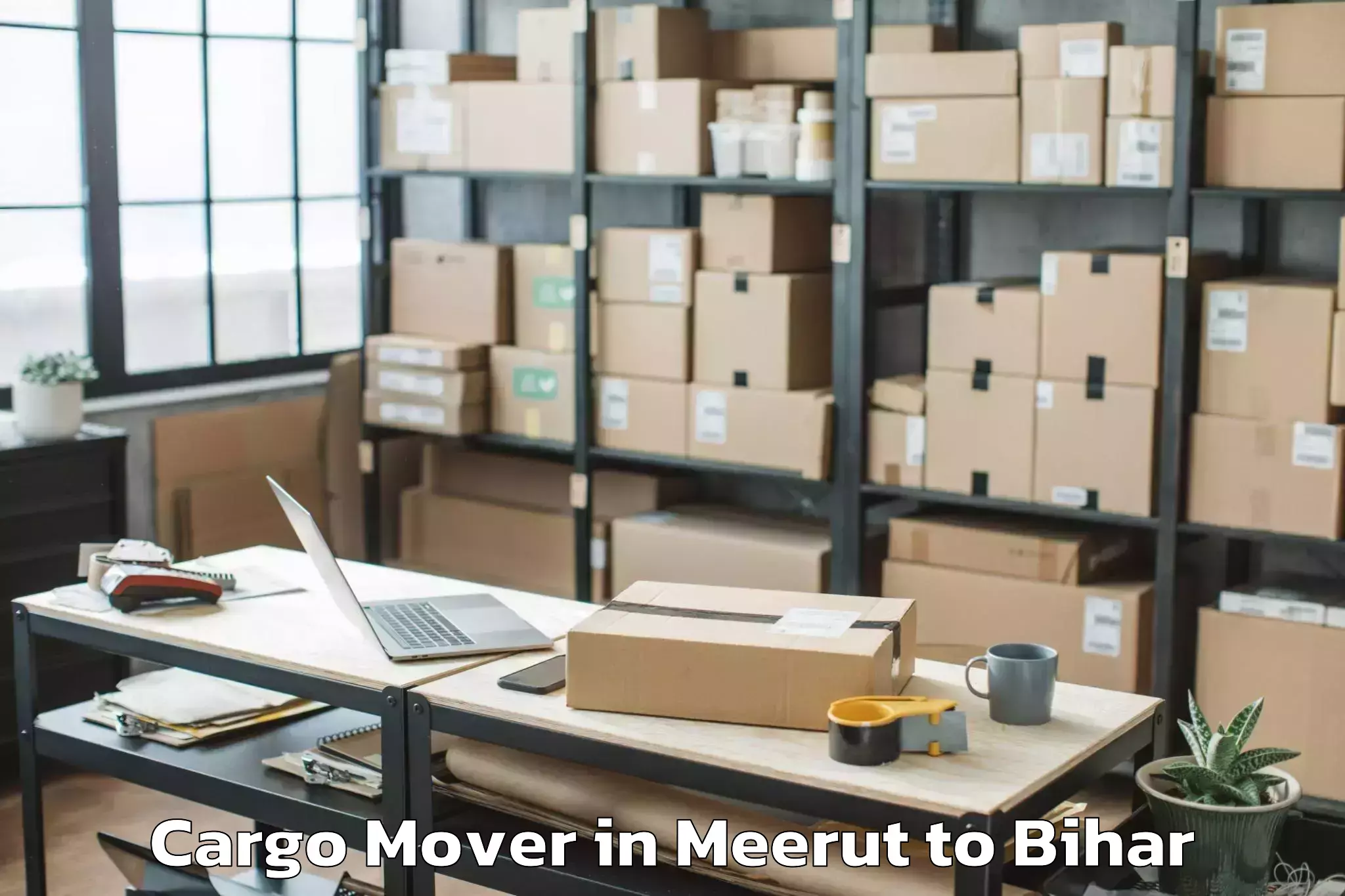 Top Meerut to Meskaur Cargo Mover Available